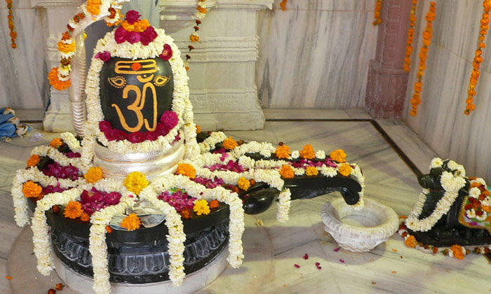 Telugu Bhakti, Deer Picture, Devotional, Happiness, Lord Shiva, Scholars, Shrava