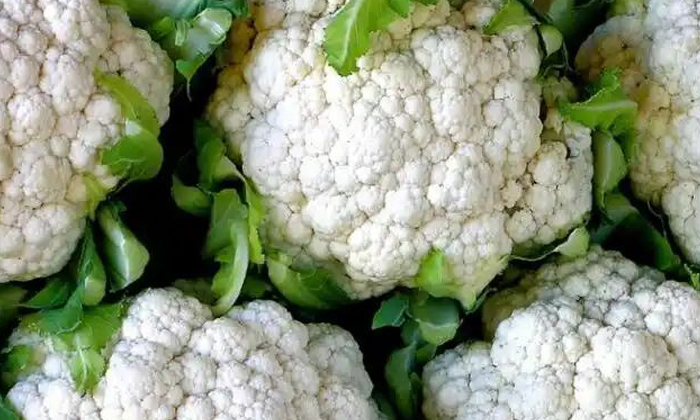 Telugu Black Rot, Cauliflower, Potash, Strepto Cyclin-Latest News - Telugu