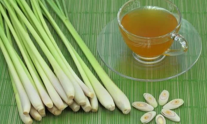Telugu Antibacterial, Antioxidant, Benefits, Kidney Problems, Lemon Grass, Lemon