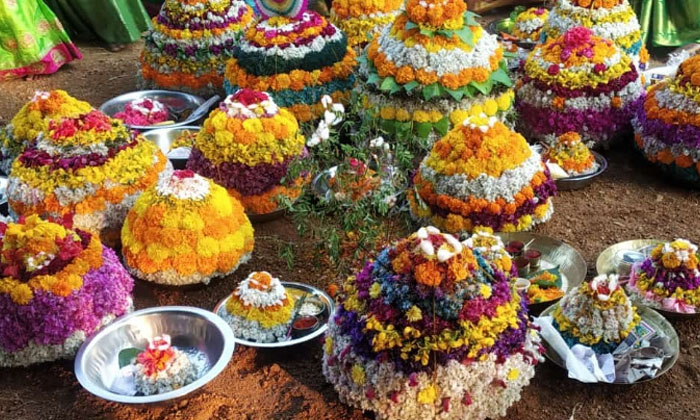 Telugu Flower, Devotional, Engilipula, Gouramma, Scholars, Telangana-Latest News