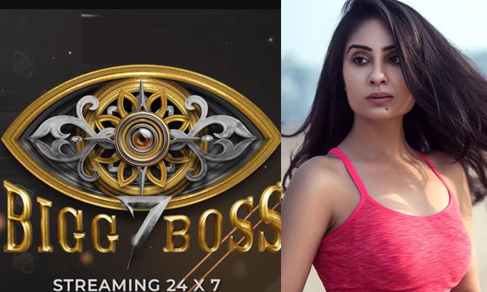  Allu Arjun Heroin Bhanu Sri Mehra Sensational Comments On Bigg Boss Show-TeluguStop.com