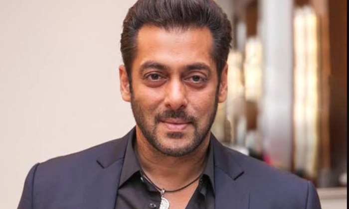  Do You Know Salman Khan Net Worth Details Here-TeluguStop.com