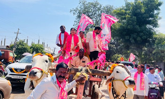  On The Occasion Of Dussehra, The Edla Bandla Rally Was Organized Under The Auspi-TeluguStop.com