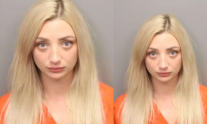Florida woman who drove a vehicle at high speed attacked the soldier with nails for stopping hima