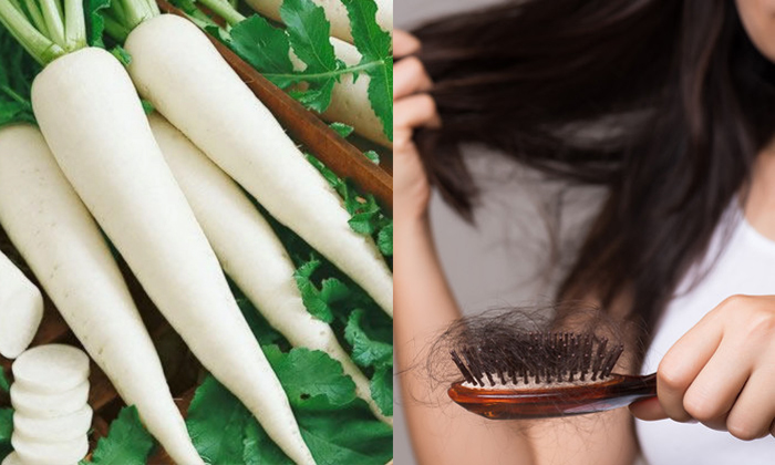  How To Use Radish For Stop Hair Fall Details, Radish, Radish Benefits, Hair Fal-TeluguStop.com