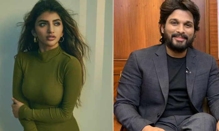  Iconstar Allu Arjun Sweet Warning To Sreeleela-TeluguStop.com