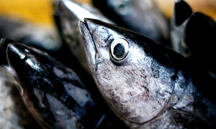  If You Know About The Nutrients In The Eyes Of The Fish, You Will Not Leave At A-TeluguStop.com