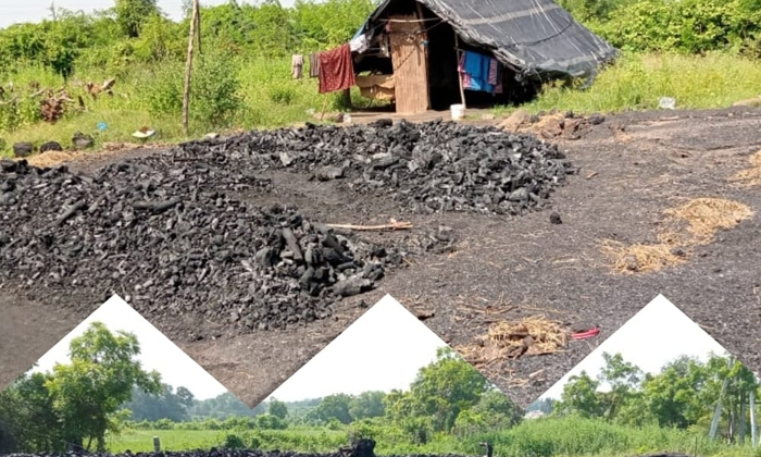  Illegal Coal Trade Rampant In Anantgiri , Anantgiri, Illegal Coal Trade, Rampant-TeluguStop.com