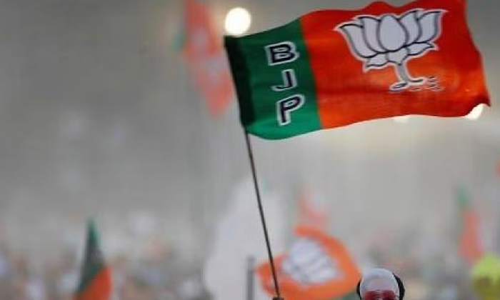  Is It A Lone Battle For Bjp In Andhra , Janasena, Bjp, Telangana Assembly Electi-TeluguStop.com