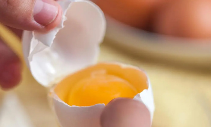  Is It Good For Health If You Eat The Egg Yolk , Hematological Profiles, Yolk , E-TeluguStop.com