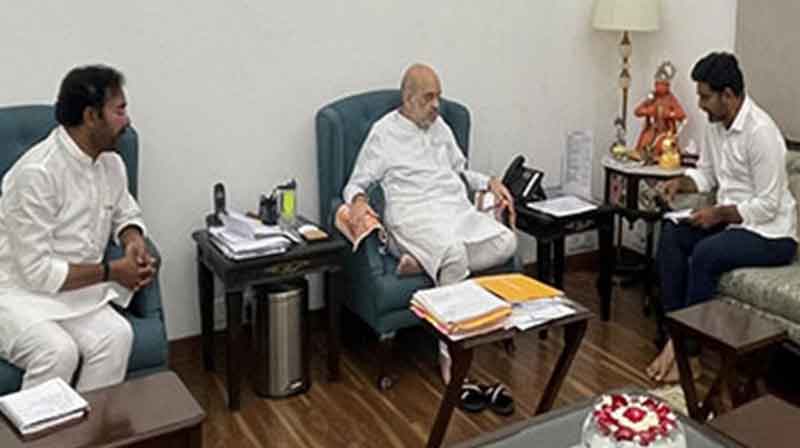  Lokesh Meets Amit Shah In Delhi, Raises Concerns About Naidu’s Safety-TeluguStop.com