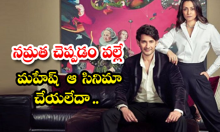  Mahesh Didn't Do That Movie Because Namrata Said , Mahesh Babu , Superstar Kr-TeluguStop.com