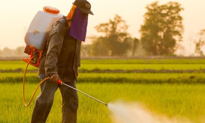  Precautions To Be Followed By Farmers In Pesticide Spraying Details, Precautions-TeluguStop.com