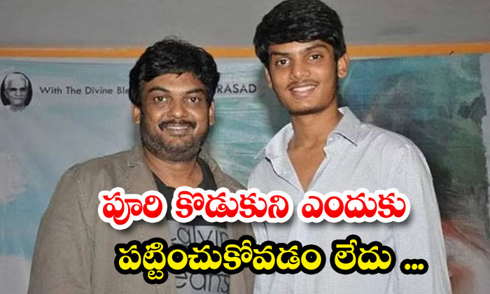  Why Don't You Care About Puri's Son , Puri Jagannadh ,akash Puri ,badri , Toll-TeluguStop.com