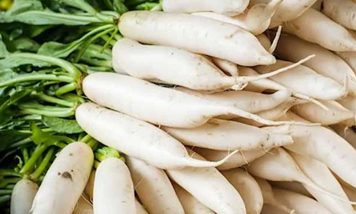 Telugu Agriculture, Ayurvedic, Farmers, Radish, Radish Crop, Radish Radish-Lates