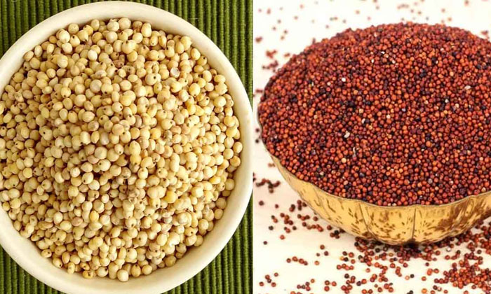 Telugu Black Lentils, Carrot, Coriander, Finger Millet, Green, Tips, Rags, Sorgh