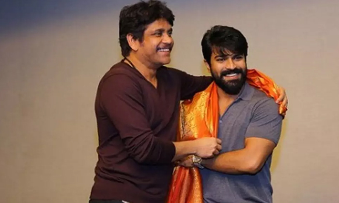 Telugu Akkineni Akhil, Akkineninaga, Chiranjeevi, Chirutha, Gossip, Nagarjuna, N