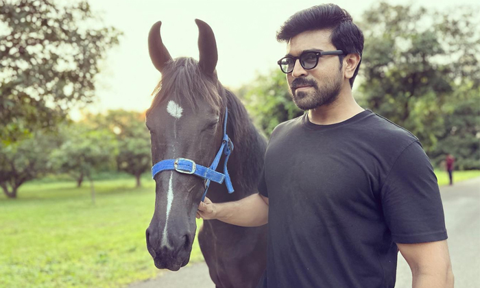  Ramcharan Shares His New Horse Pic Goes Viral Details, Ramcharan, Horse,blaze, T-TeluguStop.com
