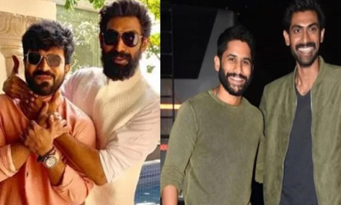 Telugu Bheemla Nayak, Daggubati, Naga Chaitanya, Ram Charan, Rana Daggubati, Tol