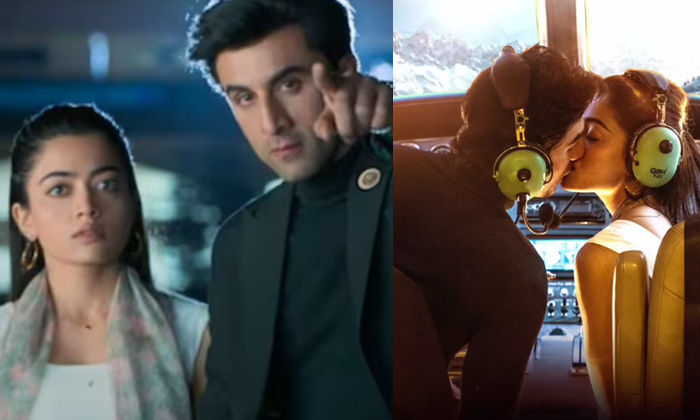 Ammayi Song In Ranbir Kapoor Rashmika Animal, Ranbir Kapoor, Animal, Sandeep Red-TeluguStop.com