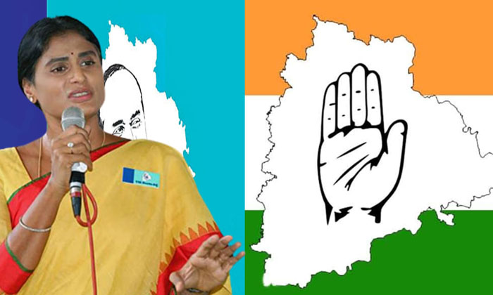  As If There Is No Merger In Congress What Is Sharmila's Condition , Ysrtp, Tel-TeluguStop.com