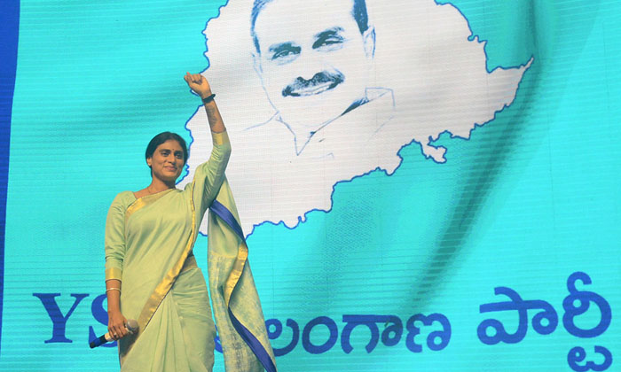  Sharmila Believes In Fighting Alone Competition From Paleru , Sharmila, Ysr-TeluguStop.com