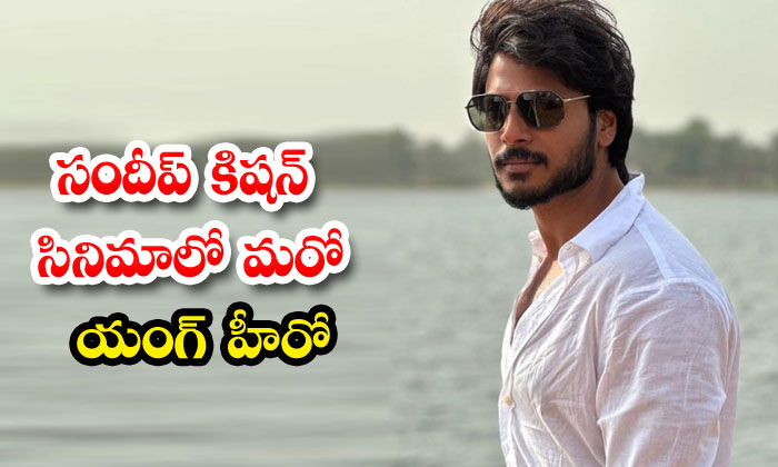  Another Young Hero In The Sundeep Kishan Film, Sundeep Kishan, Tollywood , Aadi-TeluguStop.com