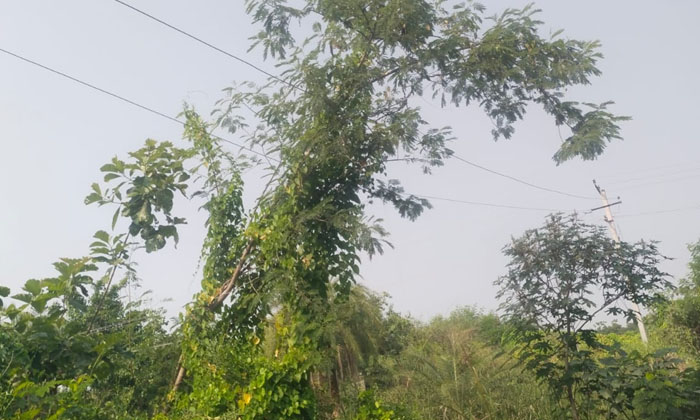  Dangerously Electric Wires - Irresponsible Electricity Officials-TeluguStop.com