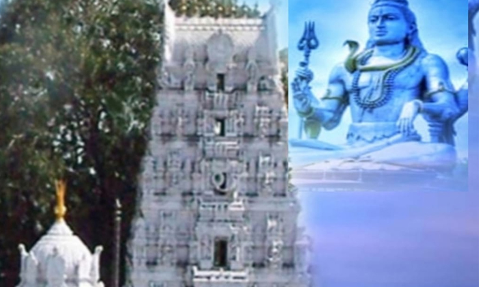  Vemulawada Rajanna Temple Is Closed Today , Vemulawada, Rajanna Temple , Eo Kris-TeluguStop.com