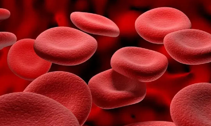 Telugu Tips, Heart, Hemoglobin, Immune System-Telugu Health Tips