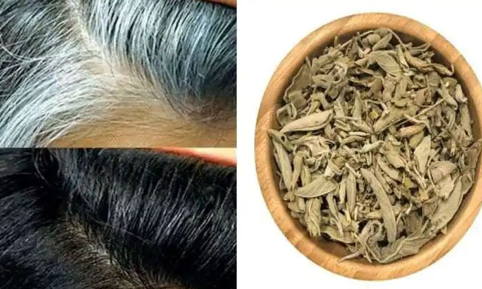  This Is An Excellent Remedy To Prevent White Hair Problems At A Young Age , Whit-TeluguStop.com