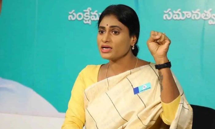  Sharmilas Party Can't Find Candidates , Ysrtp, Telangana Government, Ysr Telanga-TeluguStop.com