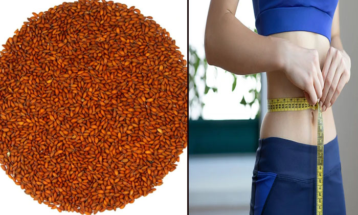 Telugu Anemia, Halim Seeds, Halimseeds, Tips, Latest-Telugu Health