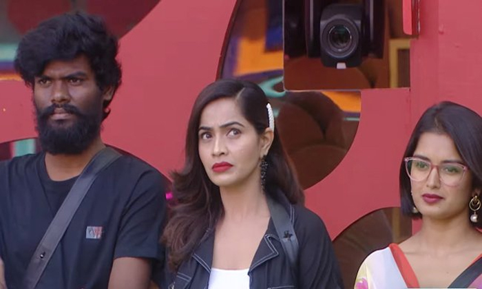 Telugu Bigg Boss, Captaincy Task, Prince Yawar, Sobha Shetty, Sobhashetty, Yawar