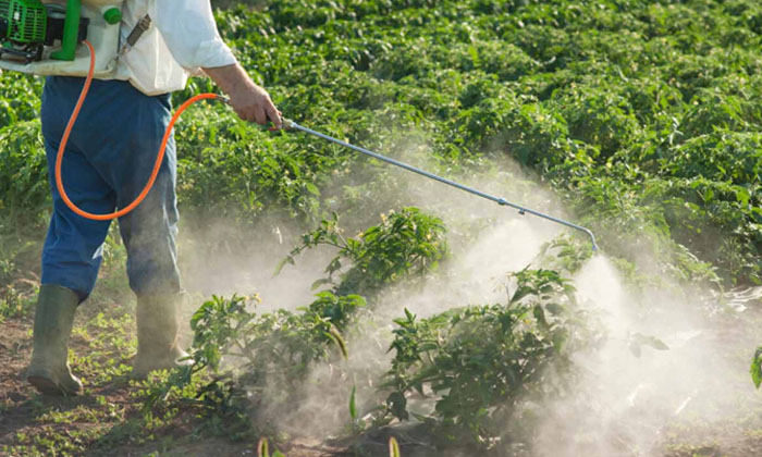  Precautions To Be Taken By Farmers While Spraying Chemicals , Chemical, Agric-TeluguStop.com