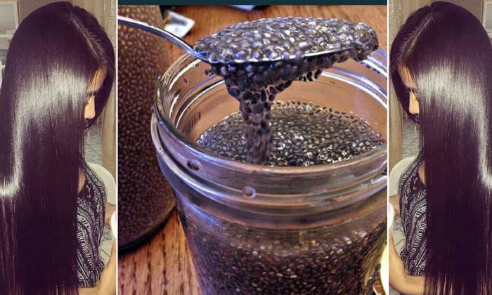  How To Use Chia Seeds For Healthy Hair ,  Chia Seeds, Healthy Hair , Hair Care,-TeluguStop.com