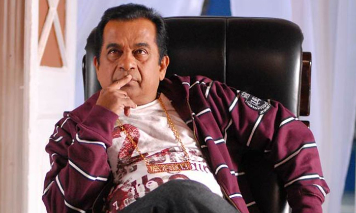  Comedian Brahmanandam Going To Busy Very Soon Details,brahmanandam,tollywood,gui-TeluguStop.com