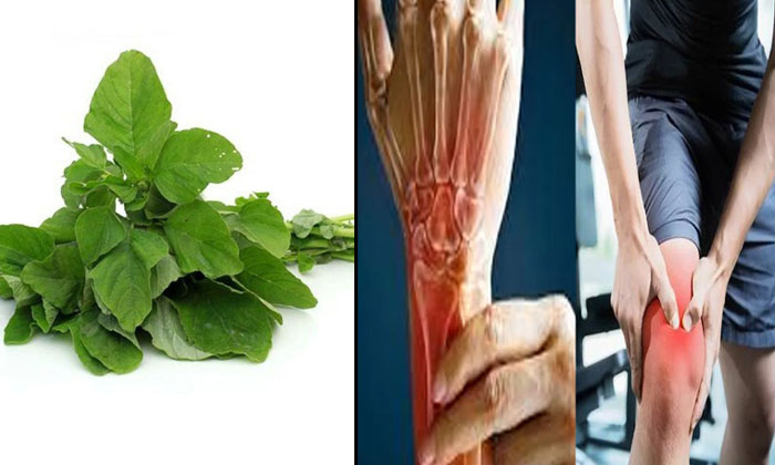  Green Leafy Vegetables And Their Health Benefits , Green Leafy Vegetables, Heal-TeluguStop.com