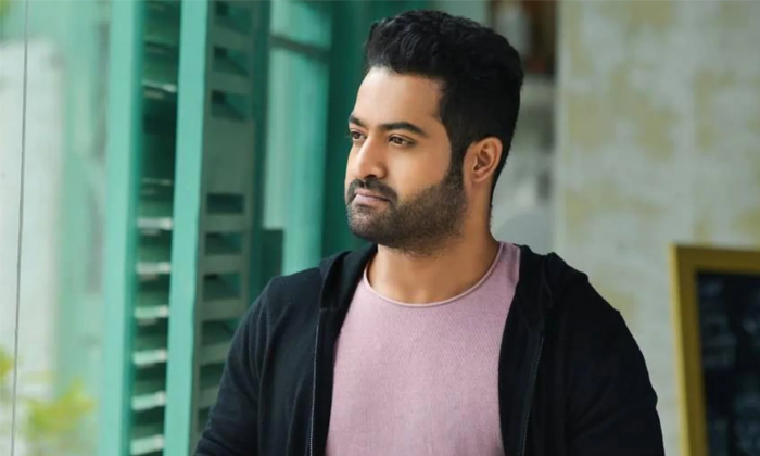  Ntr Fans Strong Counter Details, Junior Ntr, Tdp Fans, Ntr Movies, Chandrababu N-TeluguStop.com