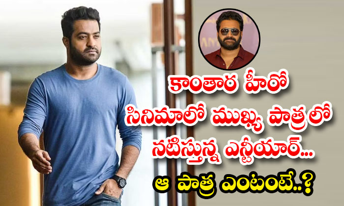  Ntr Key Role In Kantara Fame Rishab Shetty Movie Details, Rishabh Shetty, Ntr ,-TeluguStop.com