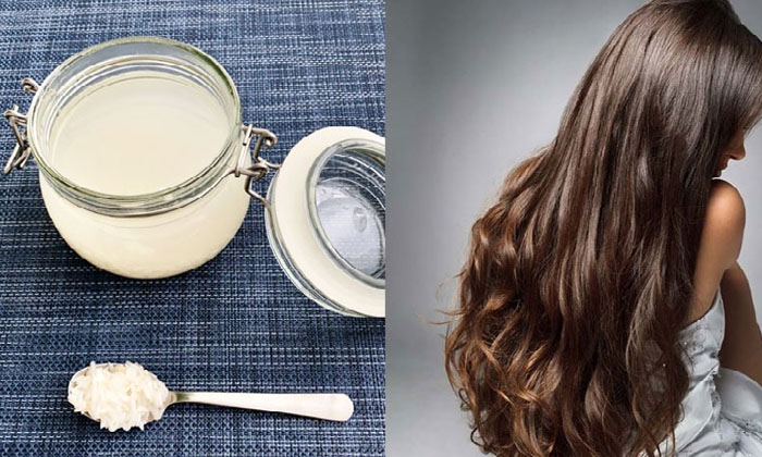  Best Way To Use Rice Water For Stop Hair Fall , Rice Water, Stop Hair Fall,-TeluguStop.com