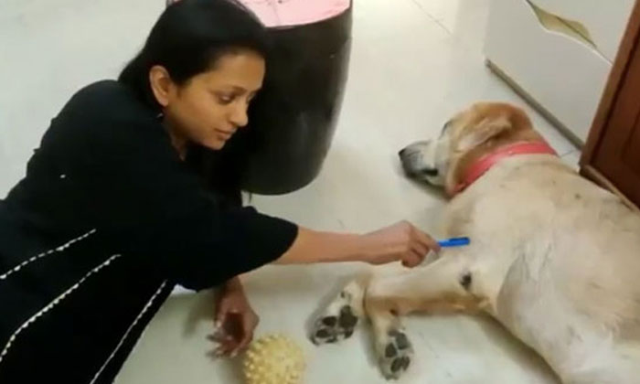  Netizens Funny Comments On Suma Iritate Dog Funny Video-TeluguStop.com