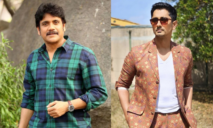 Tollywood Heroes Who Dated With Heroines Even After Marriage Nagarjuna Siddharth-TeluguStop.com