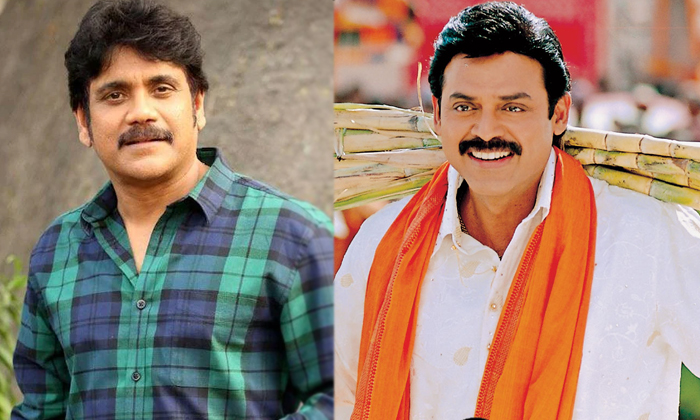  Why Nagarjuna Rejected Sankranti Movie Details, Nagarjuna, Sankranti Movie, Hero-TeluguStop.com