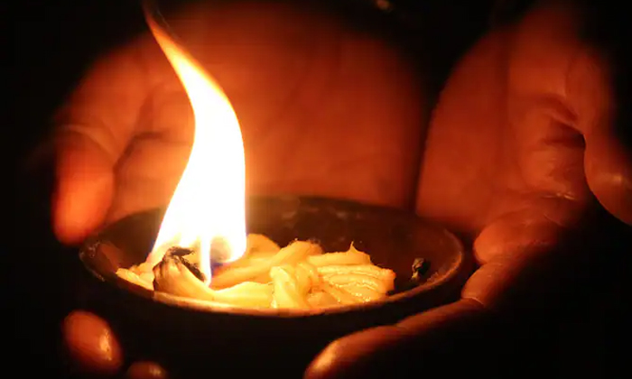 Telugu Amla Tree, Bhakti, Deepam, Deeparadhana, Devotional, Karthika Masam, Pooj