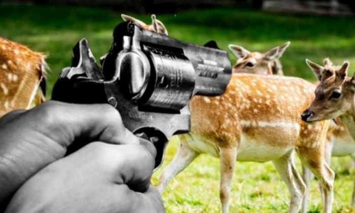  A Man Who Shot His Friend While Hunting A Deer , Deer , Friend , Javadi Hills In-TeluguStop.com