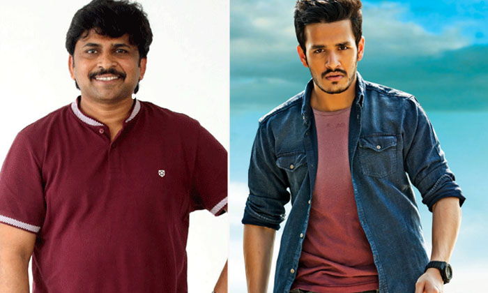  Has Akhil Found A Director Who Will Give Him A Hit , Akhil Akkineni , Akkineni-TeluguStop.com