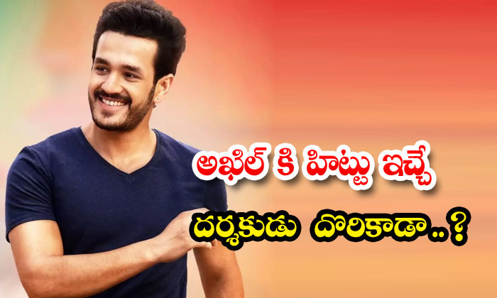  Has Akhil Found A Director Who Will Give Him A Hit , Akhil Akkineni , Akkineni-TeluguStop.com