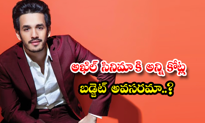  Akhil Movie Needs All The Crores Budget, Akhil Akkineni, Naga Chaitanya, Akkinen-TeluguStop.com