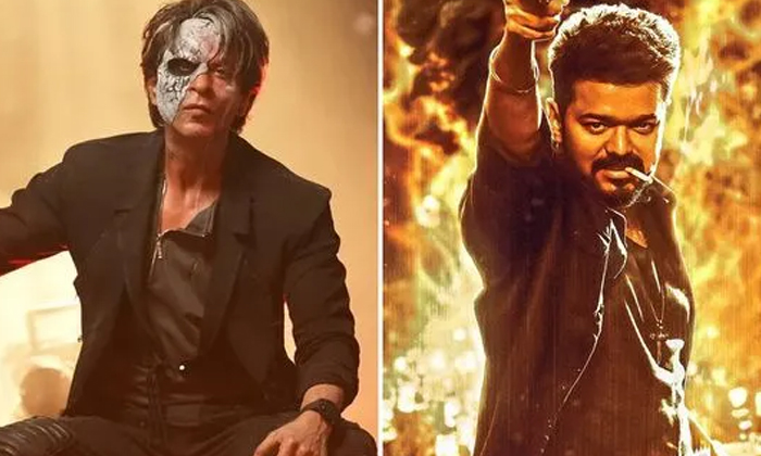  Atlee Reveals His Next Film With Shah Rukh Khan And Vijay, Shahrukh Khan, Atlee-TeluguStop.com